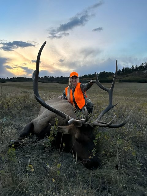 Nice elk Remington