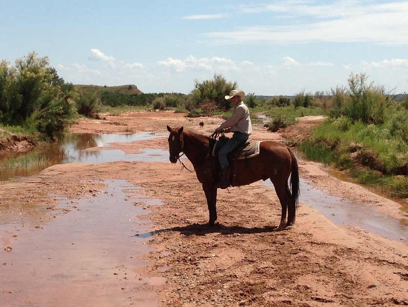 Adam on Pilgrim