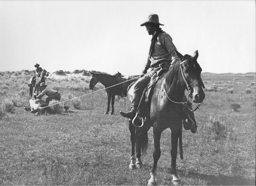 JA cowboys doctoring a cow, probably for screwworms.