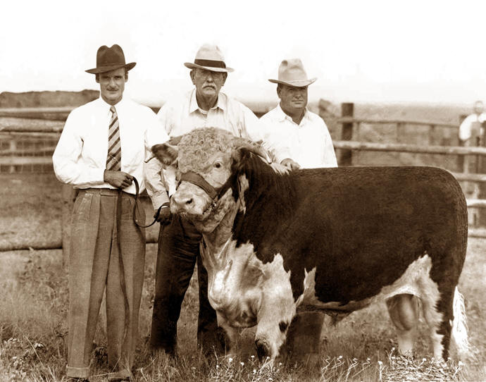 Montie, J.W. Kent, Fayne Kent & dwarf Hereford 1938