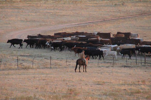 dry year in Colorado