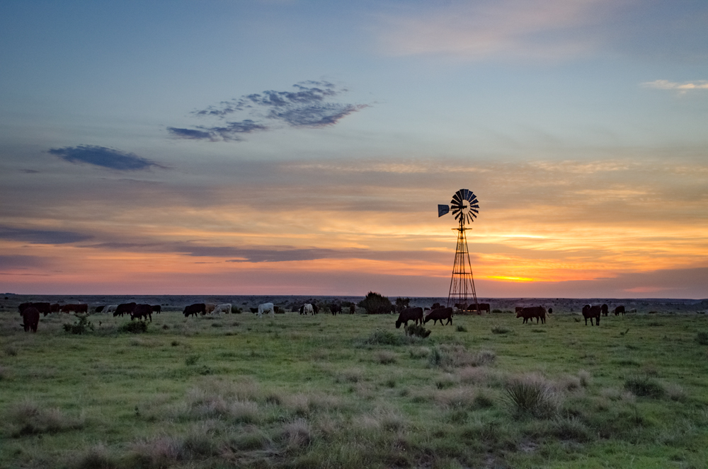 Another Panhandle morning